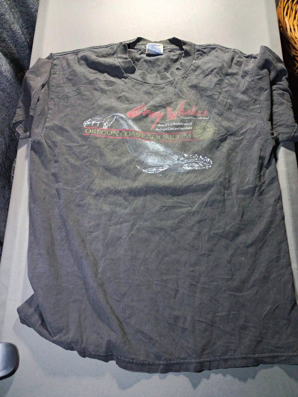 Port & Company distressed Gray Whale Oregon Coast Aquarium T-Shirt mens size L